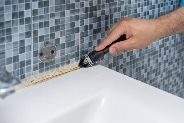 Best Certified Mold Removal  in Merritt Park, NY