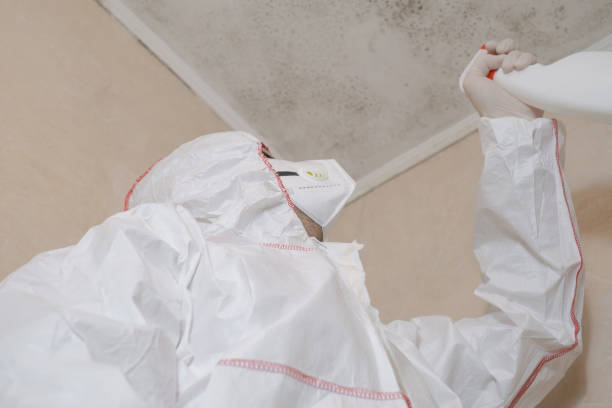 Best Home Mold Removal  in Merritt Park, NY