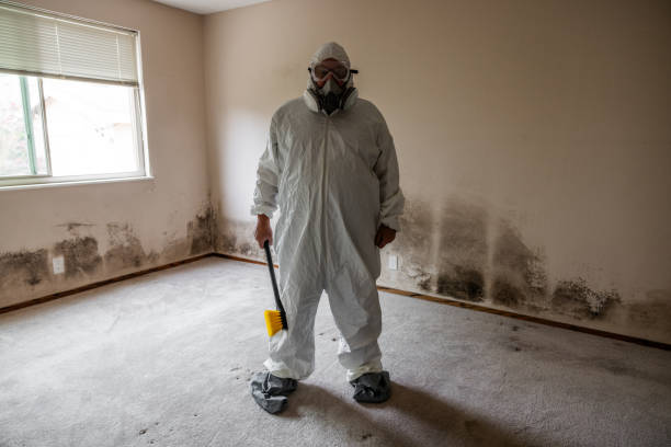 Best Mold Testing  in Merritt Park, NY